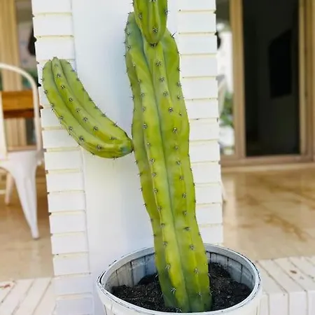 De Lujo En Playamar *