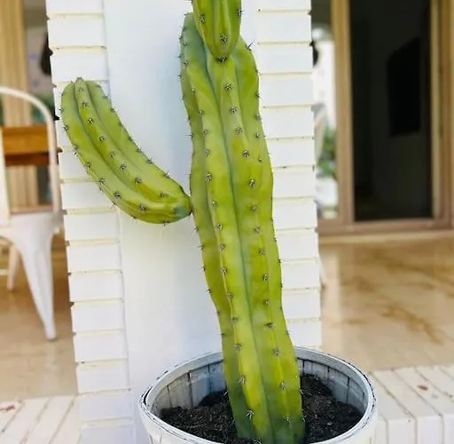 De Lujo En Playamar *